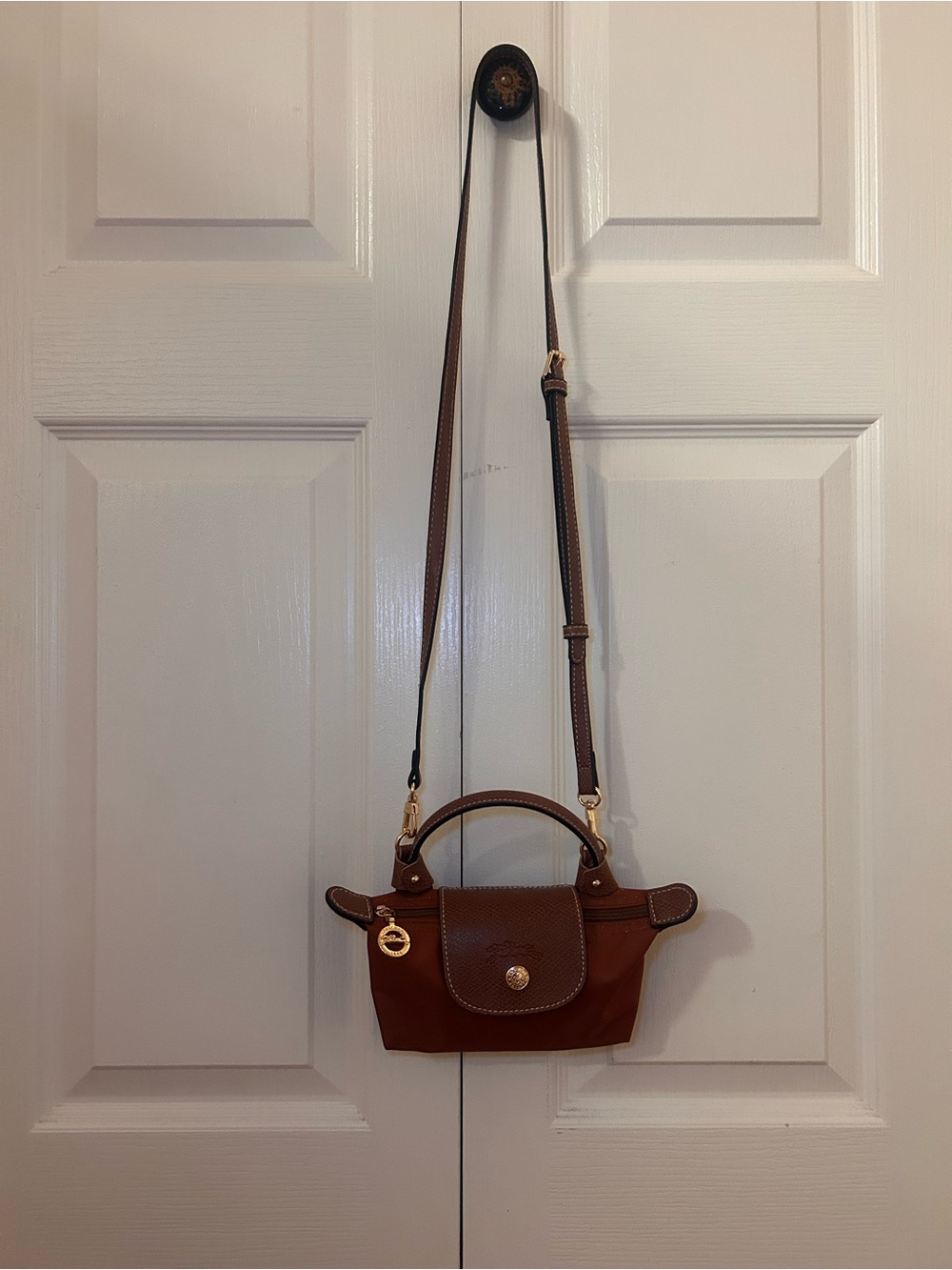 Longchamp Le Pliage Cosmetic Bag in Color Cognac